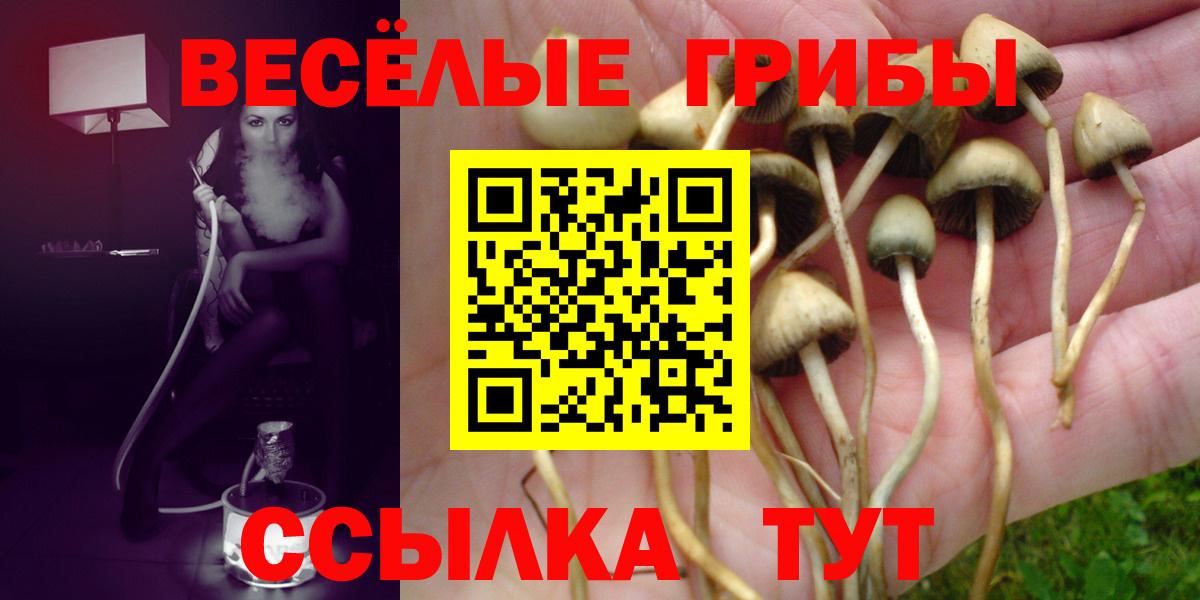 Псилоцибиновые грибы ЛСД Оренбург