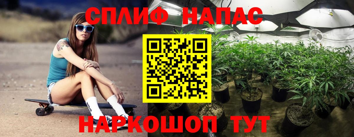 Конопля White Widow  МАРИХУАНА конопля  Оренбург  Конопля THC 21%  Вход с VPN  Шишки марихуана ГИДРОПОН 